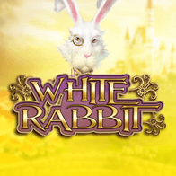White Rabbit game thumbnail